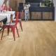 Виниловый пол Quick-Step Alpha Vinyl Blos Дуб каньон натуральный (Canyon oak natural) AVSPU40039