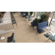 Кварцвиниловая плитка LVT Alpine Floor Easy Line Дуб Ваниль ЕСО 3-4