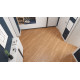 SPC ламинат Alpine Floor Sequoia Секвойя Royal ЕСО 6-4 Spc SPC ламинат Alpine Floor Sequoia Секвойя Royal ЕСО 6-4 Spc