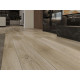 SPC ламинат Alpine Floor Grand Sequoia Гранд Секвойя Клауд ЕСО 11-15 MC