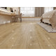 SPC ламинат Alpine Floor Solo Plus Комодо ЕСО 14-701 MC SPC ламинат Alpine Floor Solo Plus Комодо ЕСО 14-701 MC