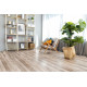 SPC ламинат Alpine Floor Real Wood Дуб Carry ЕСО 2-10 MC SPC ламинат Alpine Floor Real Wood Дуб Carry ЕСО 2-10 MC
