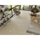 Кварцвиниловая плитка LVT Alpine Floor Easy Line Дуб Снежный ЕСО 3-14