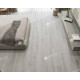 Кварцвиниловая плитка LVT Alpine Floor Easy Line Дуб Полярный ЕСО 3-19