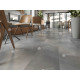 SPC ламинат Alpine Floor Stone Mineral Core Бристоль (без Подложки) ЕСО 4-8 MC SPC ламинат Alpine Floor Stone Mineral Core Бристоль (без Подложки) ЕСО 4-8 MC