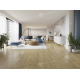 SPC ламинат Alpine Floor by Classen Pro Nature Nore 61865