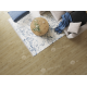 SPC ламинат Alpine Floor by Classen Pro Nature Nore 61865