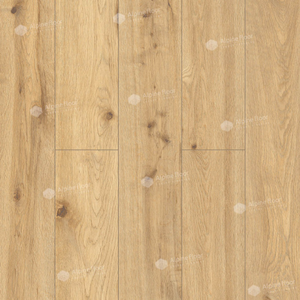 SPC ламинат Alpine Floor by Classen Pro Nature Miranda 62539 SPC ламинат Alpine Floor by Classen Pro Nature Miranda 62539