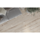 SPC ламинат Alpine Floor by Classen Pro Nature Taraza 62545