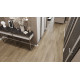 SPC ламинат Alpine Floor Premium Xl Дуб Млечный ЕСО 7-13 MC SPC ламинат Alpine Floor Premium Xl Дуб Млечный ЕСО 7-13 MC