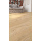 SPC ламинат Alpine Floor Premium Xl Дуб Медовый ЕСО 7-16 MC SPC ламинат Alpine Floor Premium Xl Дуб Медовый ЕСО 7-16 MC