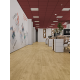 Кварцвиниловая плитка LVT Alpine Floor Liberty Loose Lay Lvt Дуб Ваниль Селект ЕСО 23-2 Кварцвиниловая плитка LVT Alpine Floor Liberty Loose Lay Lvt Дуб Ваниль Селект ЕСО 23-2