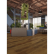 Кварцвиниловая плитка LVT Alpine Floor Liberty Loose Lay Lvt Дуб Натуральный Изысканный ЕСО 23-4 Кварцвиниловая плитка LVT Alpine Floor Liberty Loose Lay Lvt Дуб Натуральный Изысканный ЕСО 23-4