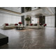 SPC ламинат Alpine Floor Stone Mineral Core Сторм ЕСО 4-29 MC