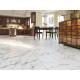 SPC ламинат Alpine Floor Stone Mineral Core Делмар ЕСО 4-25 MC