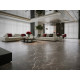 SPC ламинат Alpine Floor Stone Mineral Core Сторм ЕСО 4-29 MC